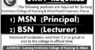 Gulrang Institute College of Nursing jobs